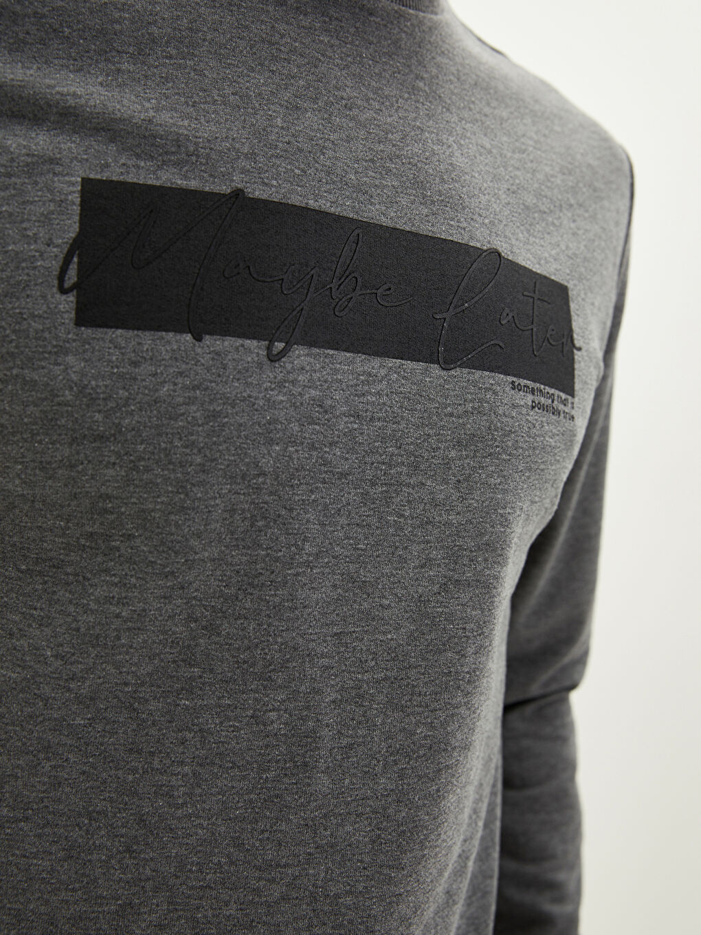 Crew Neck Long Sleeve Printed Men's Sweatshirt-2