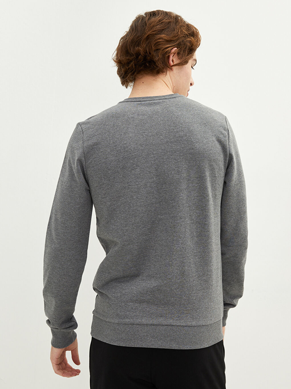 Crew Neck Long Sleeve Printed Men's Sweatshirt-3