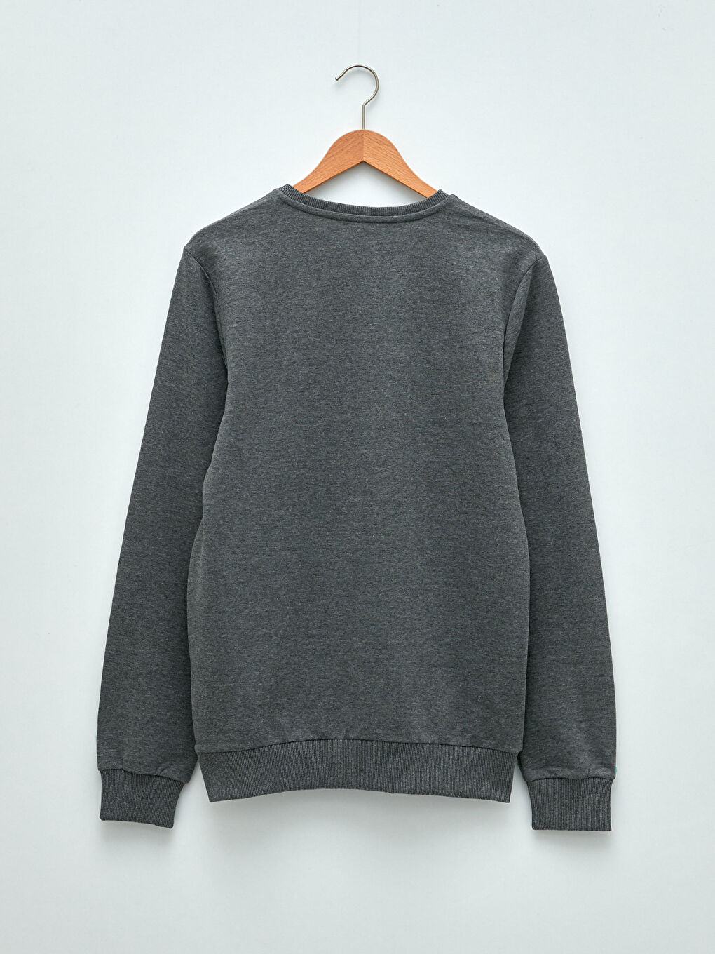 Crew Neck Long Sleeve Printed Men's Sweatshirt-5