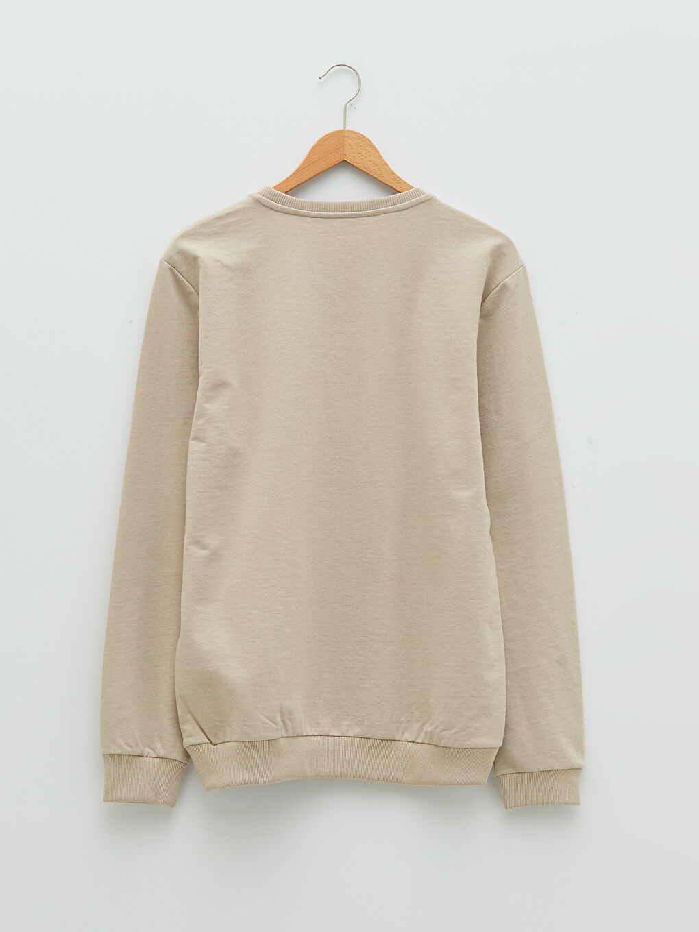 Crew Neck Long Sleeve Printed Men's Sweatshirt-6