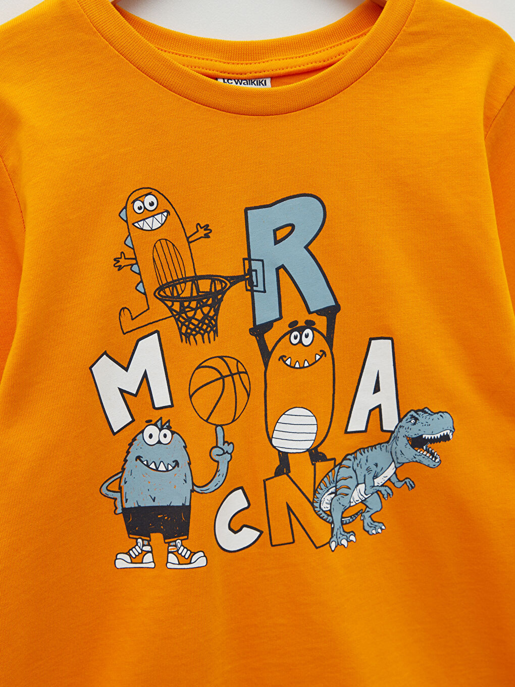 Crew Neck Printed Long Sleeve Cotton Boy T-shirt-2