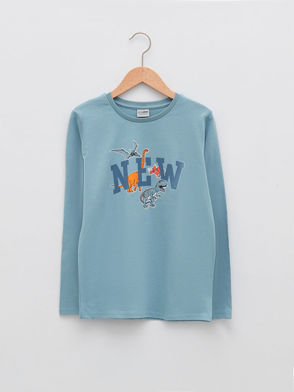 Crew Neck Printed Long Sleeve Cotton Boy T-shirt