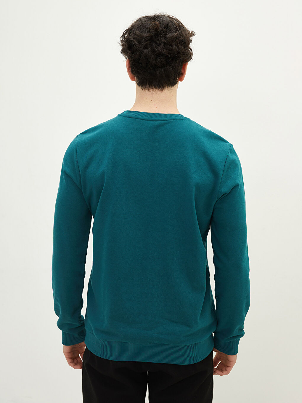 Crew Neck Long Sleeve Men's Sweatshirt-4