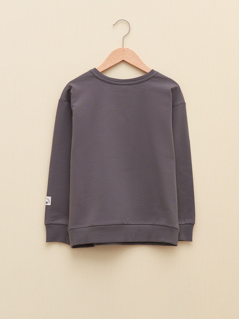 Djevojka SIVA Majica s kapuljačom/Dukserica-1