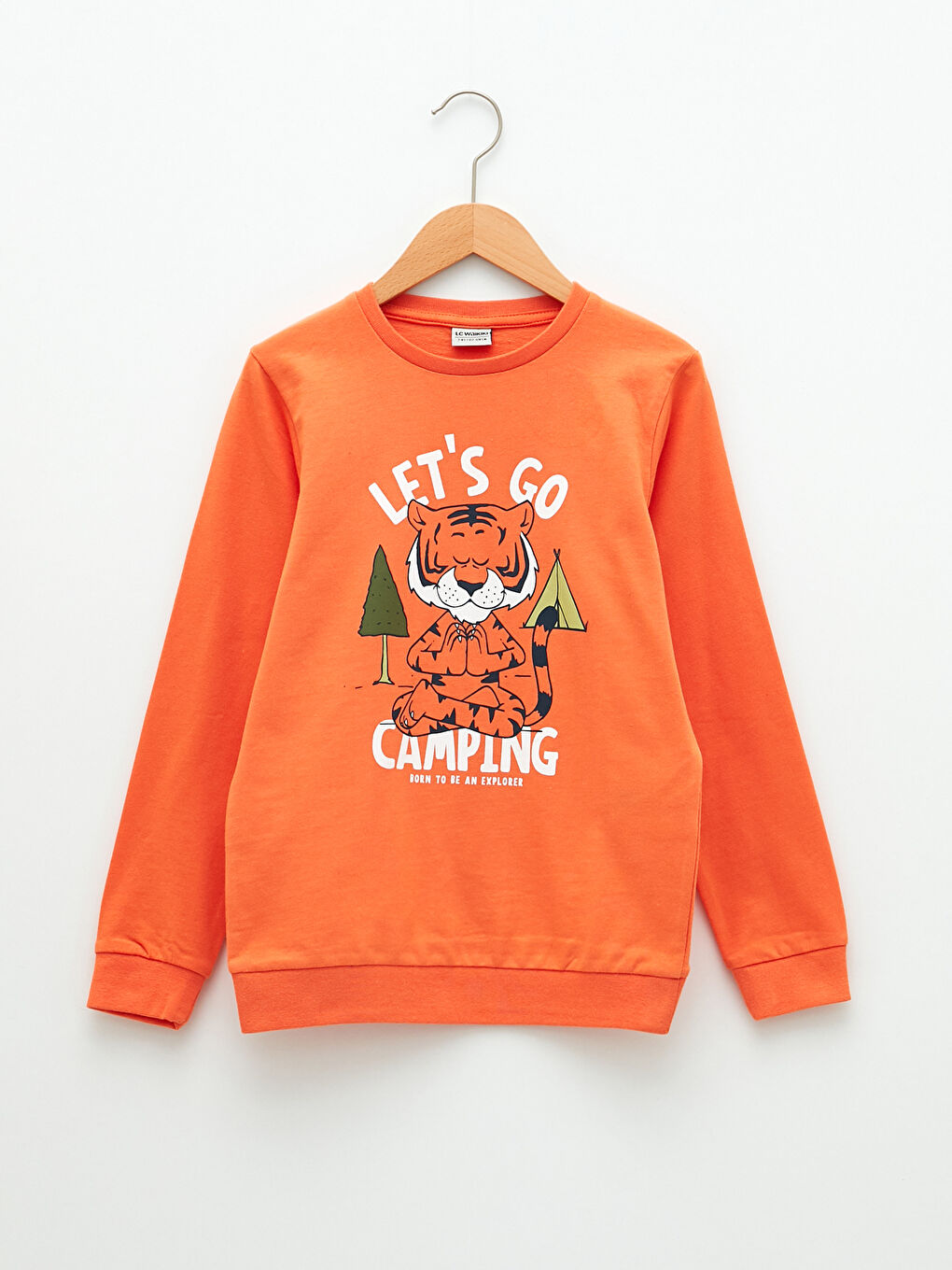 Crew Neck Printed Long Sleeve Boys' T-Shirt