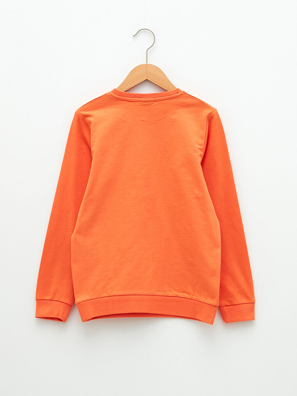 Crew Neck Printed Long Sleeve Boys' T-Shirt-1