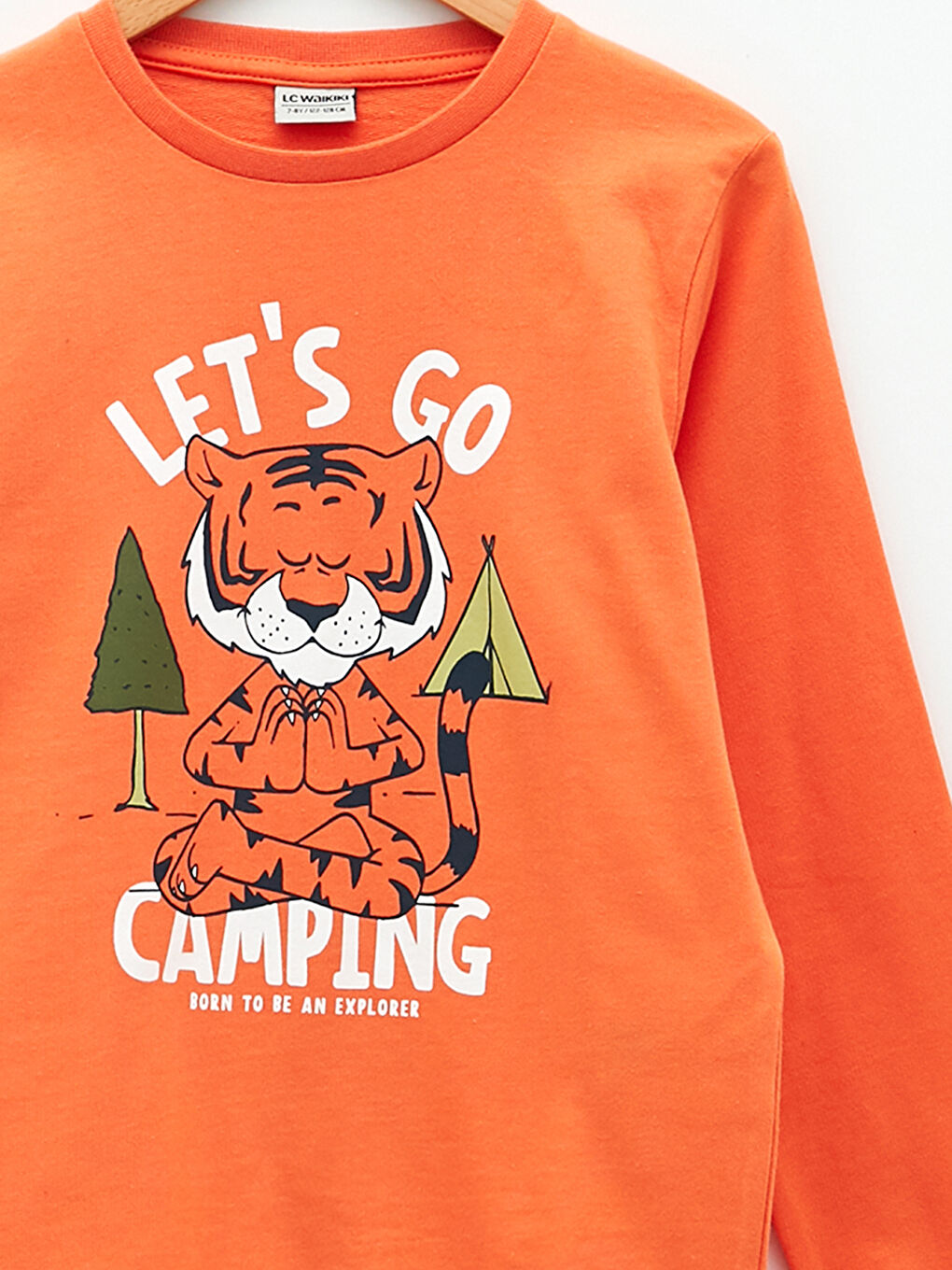 Crew Neck Printed Long Sleeve Boys' T-Shirt-2