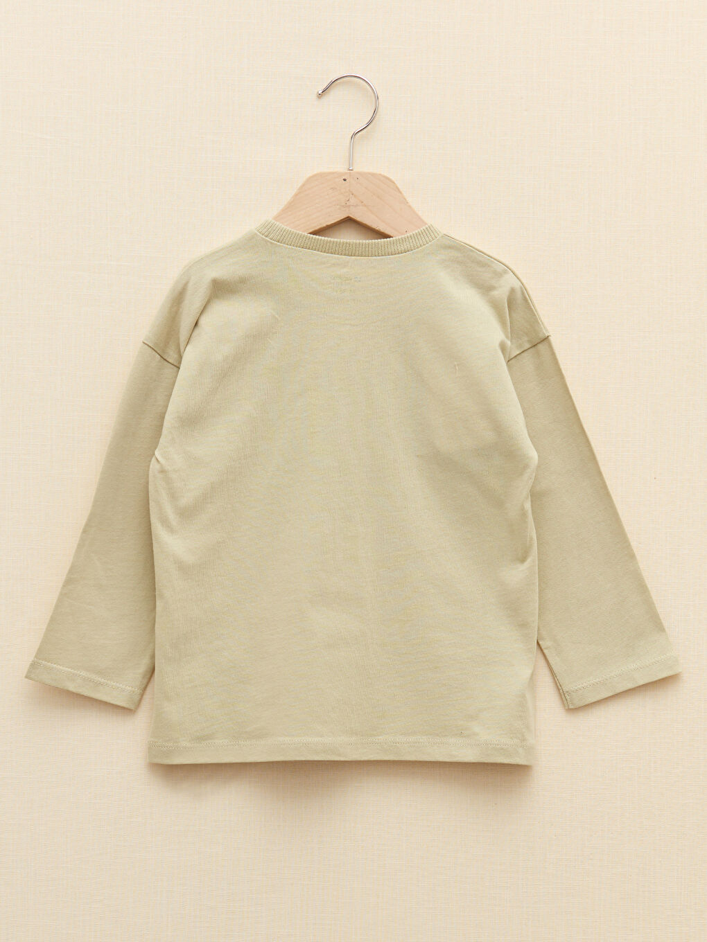 Crew Neck Long Sleeve Printed Baby Boys' T-Shirt-1