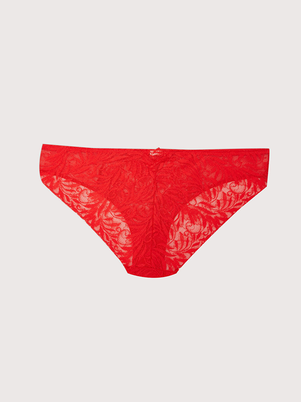 Lace Fantasy Bikini Knickers-1