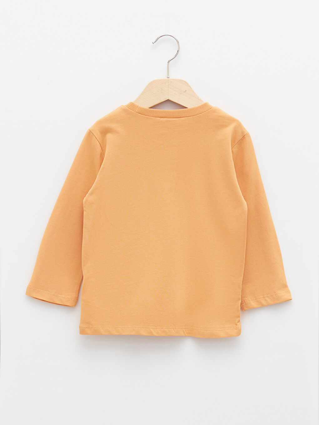 Crew Neck Long Sleeve Printed Baby Boys' T-Shirt -S27813Z1-GLH
