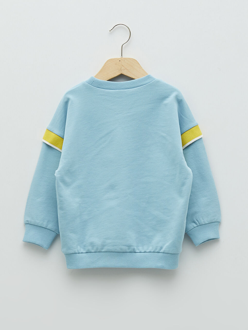 Crew Neck Long Sleeve Printed Baby Boys' Sweatshirt-5