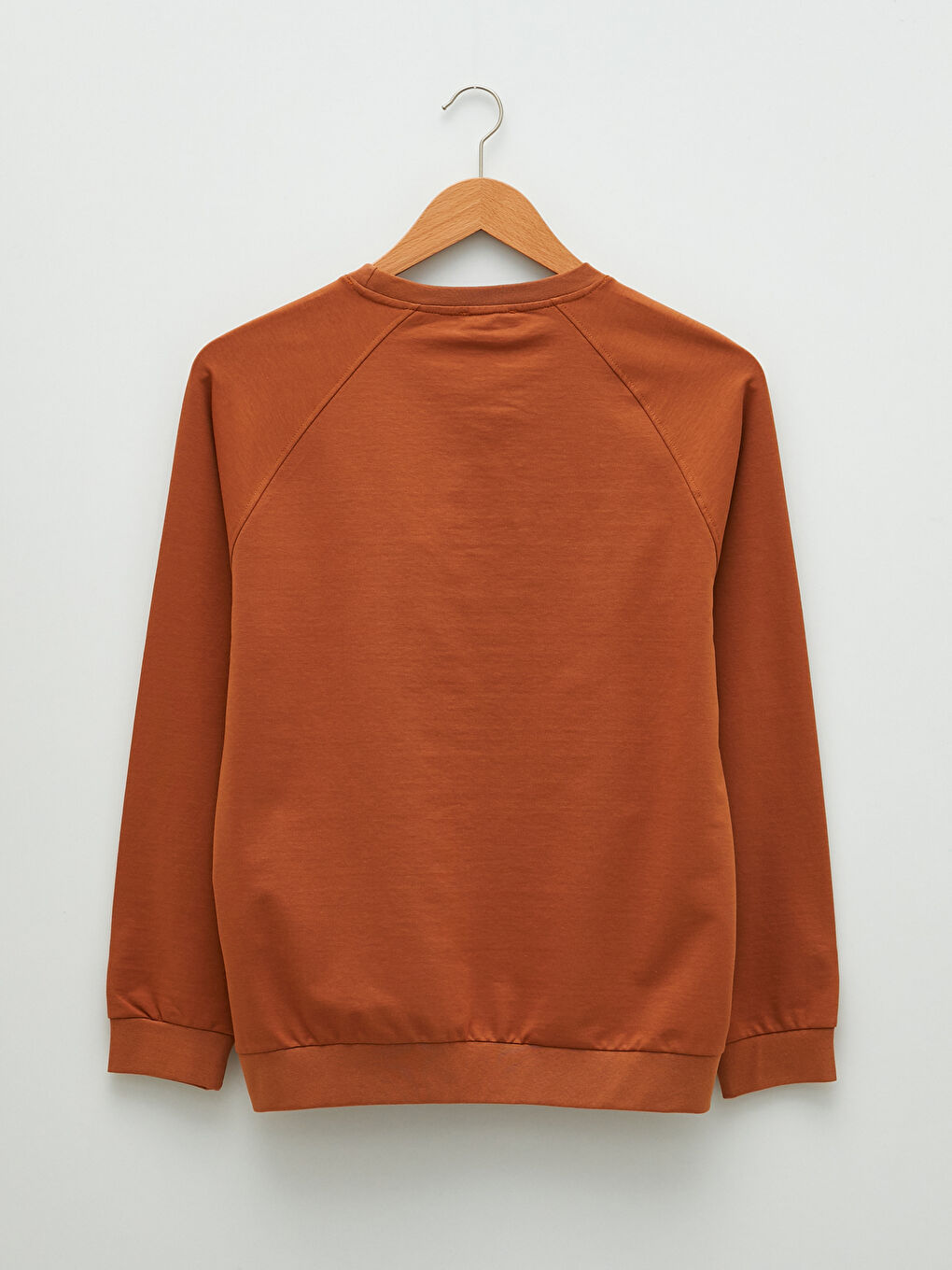 Kahverengi Bisiklet Yaka Uzun Kollu Baskılı Erkek Sweatshirt-6