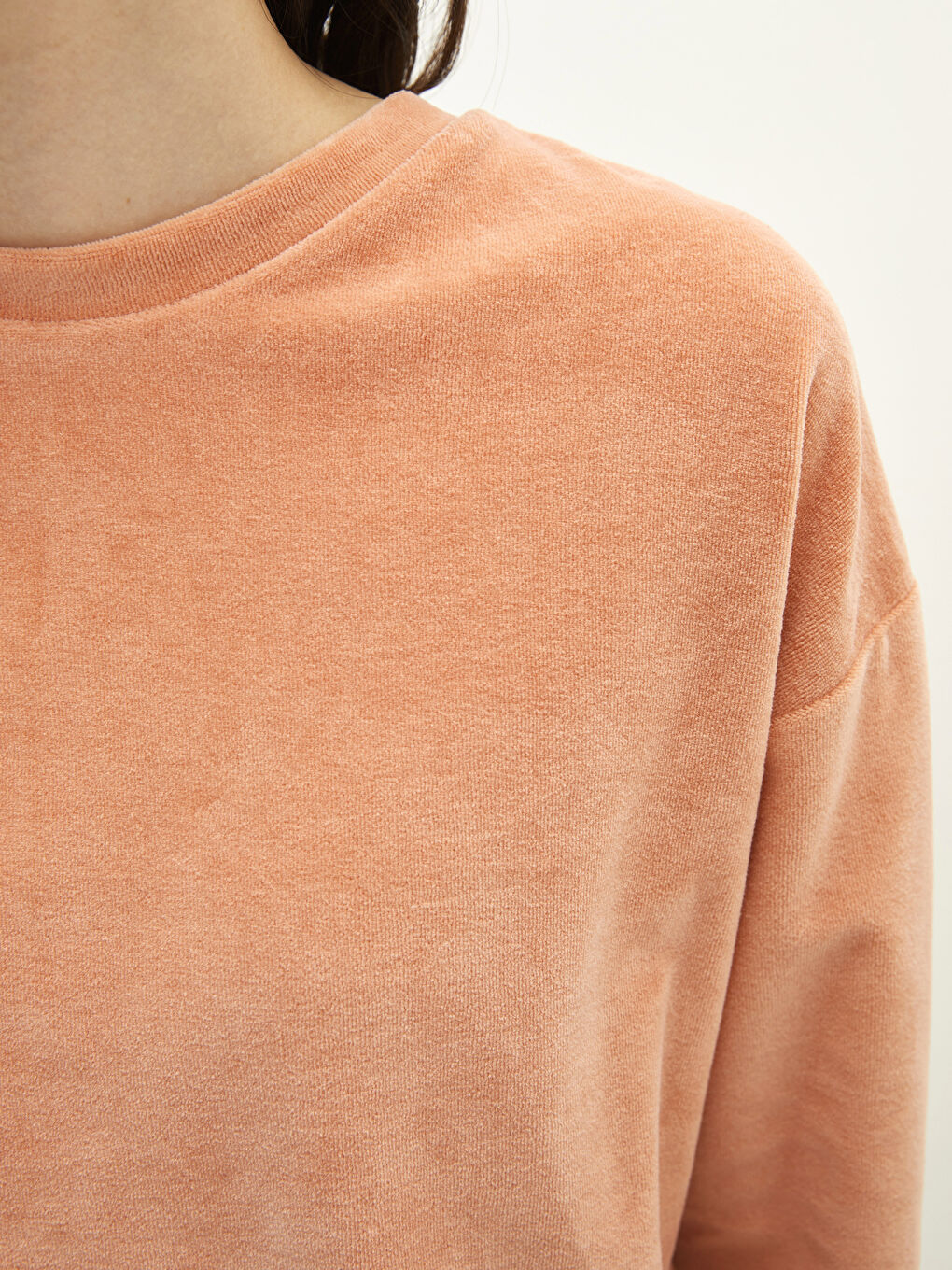 Crew Neck Regular Long Sleeve Velvet Women's Sweatshirt-3