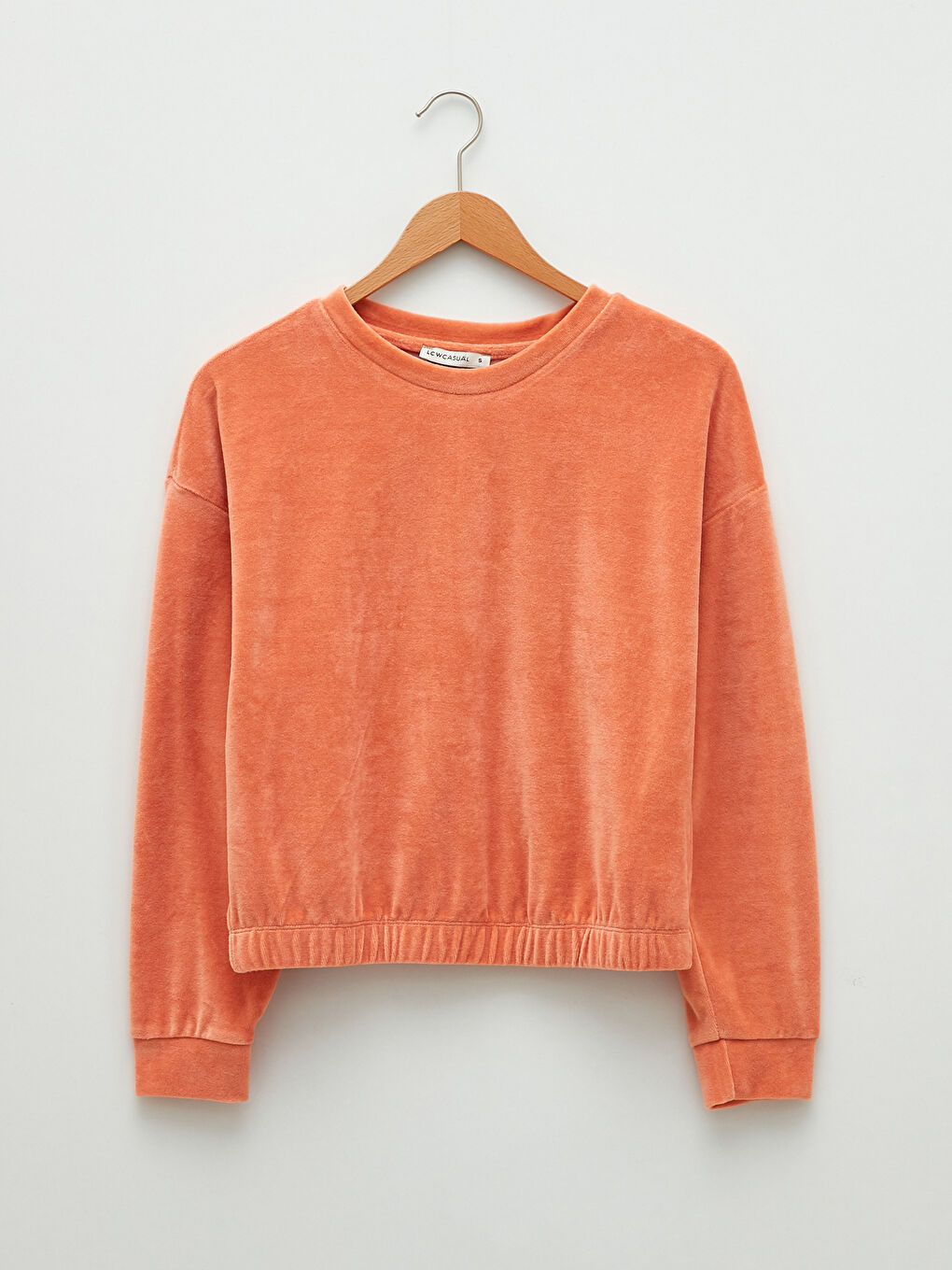 Crew Neck Regular Long Sleeve Velvet Women's Sweatshirt-5