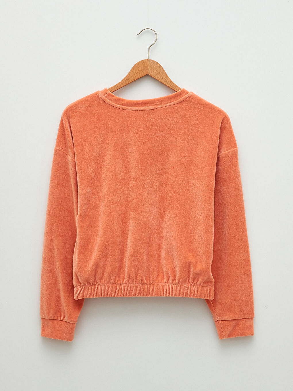 Crew Neck Regular Long Sleeve Velvet Women's Sweatshirt-6