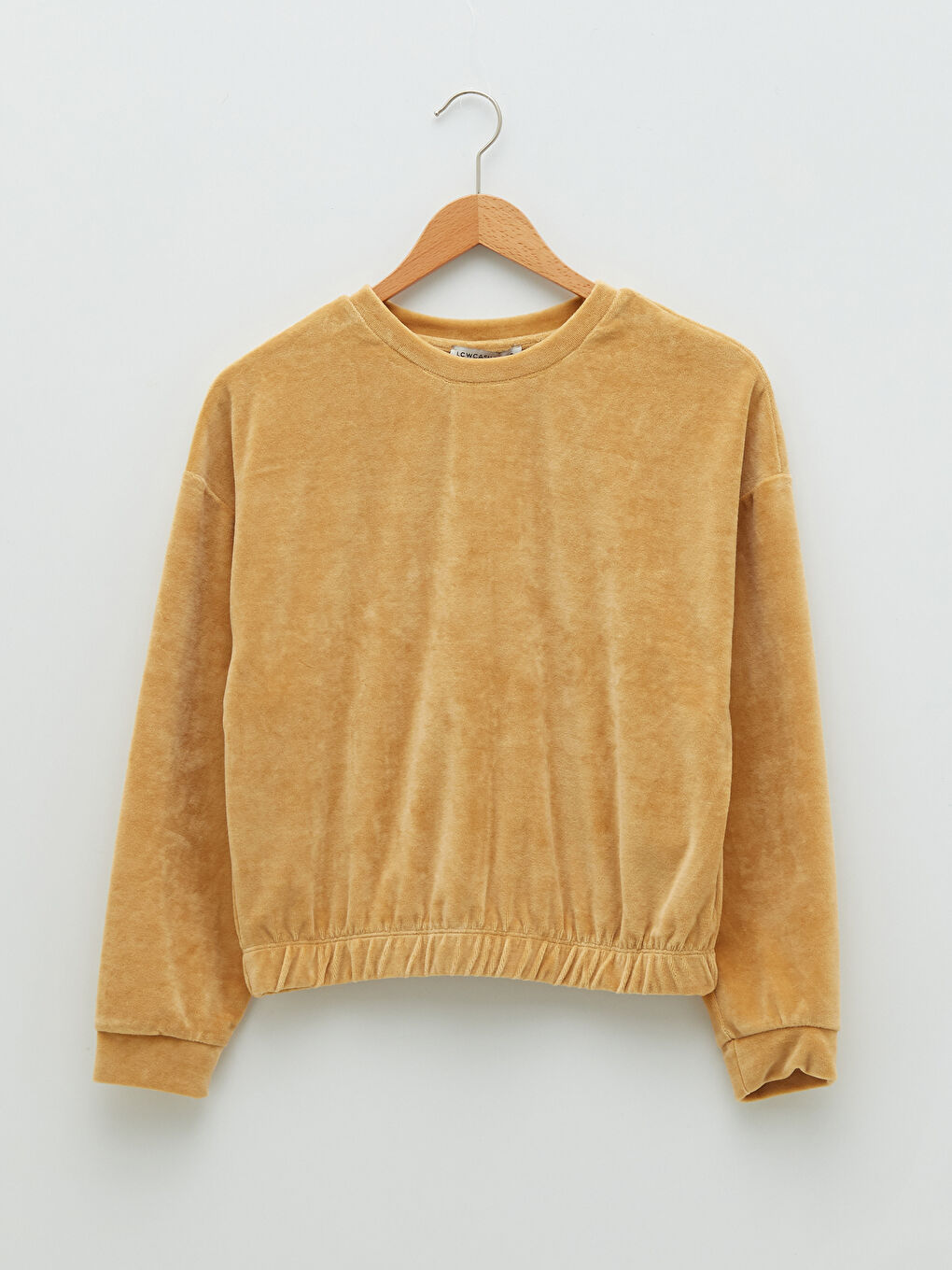 Crew Neck Regular Long Sleeve Velvet Women's Sweatshirt -S28769Z8-GFE