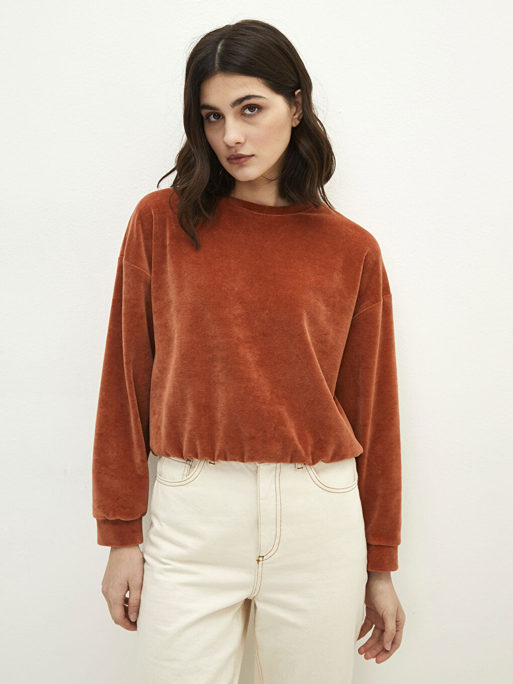 Crew Neck Regular Long Sleeve Velvet Women's Sweatshirt-1