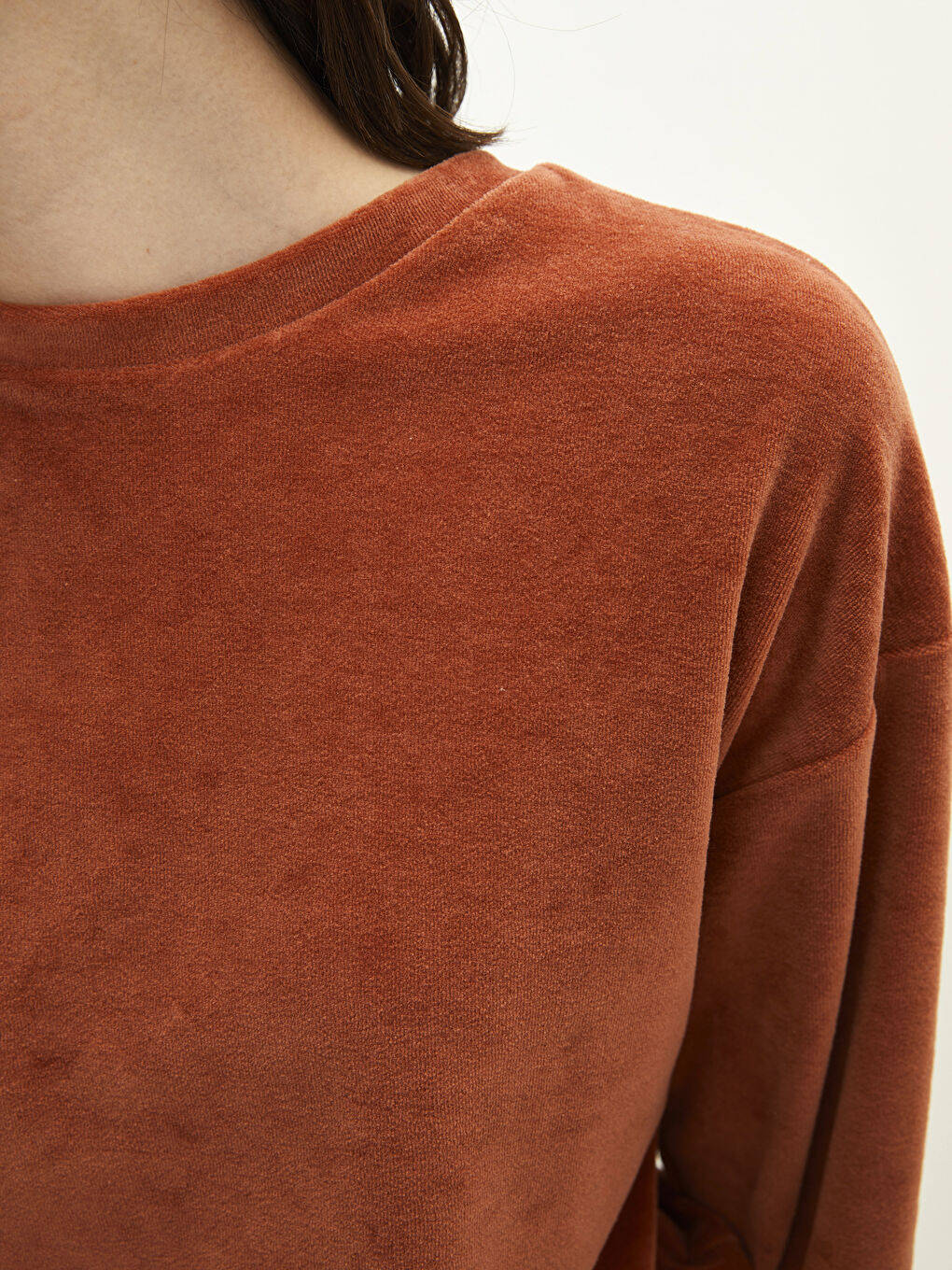 Crew Neck Regular Long Sleeve Velvet Women's Sweatshirt-4