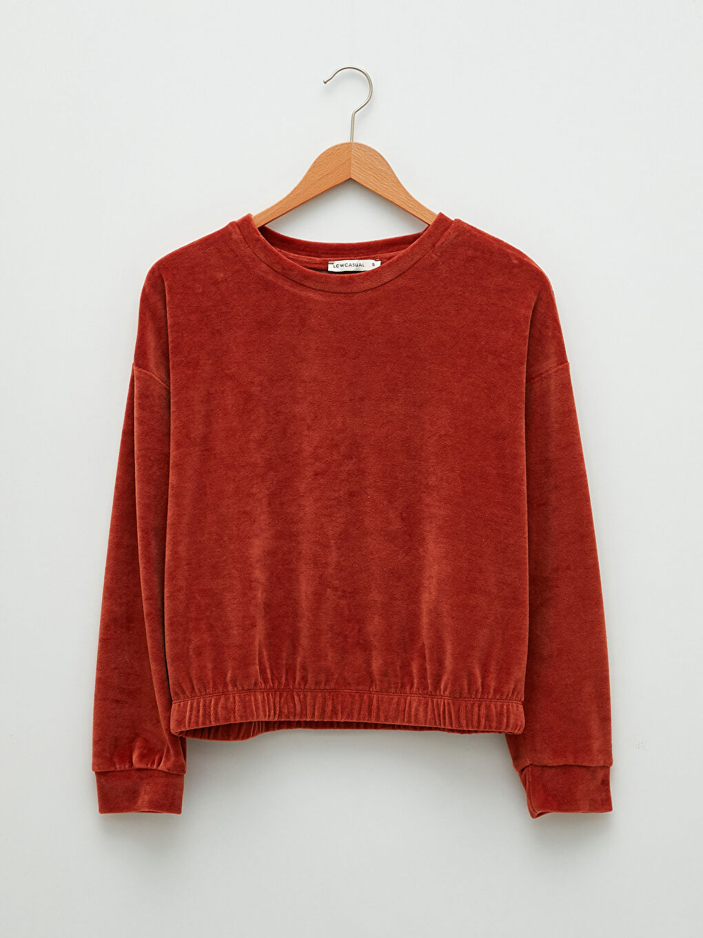 Crew Neck Regular Long Sleeve Velvet Women's Sweatshirt-6