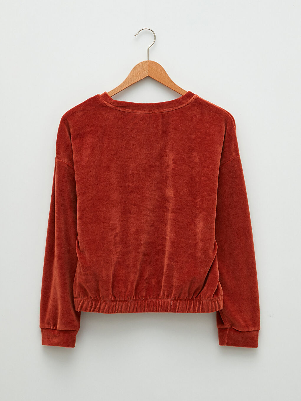 Crew Neck Regular Long Sleeve Velvet Women's Sweatshirt-7