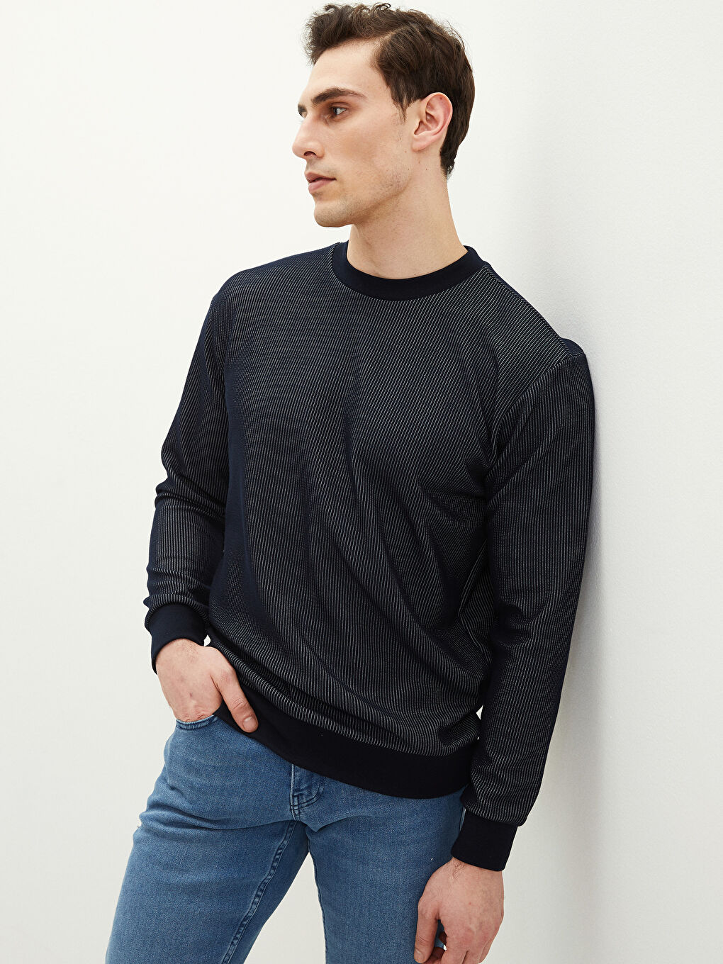 LCW Vision Rundhalsausschnitt Langarm Gestreiftes Herren-Sweatshirt -S29305Z8-RFH
