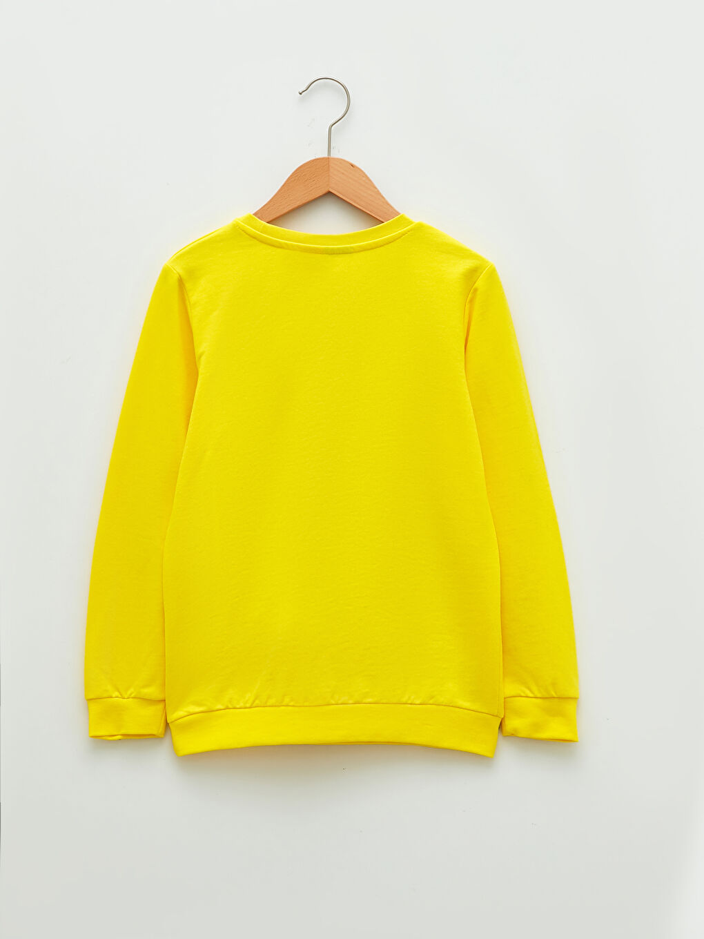 Crew Neck Paw Patrol Printed Long Sleeve Boys Sweatshirt-1