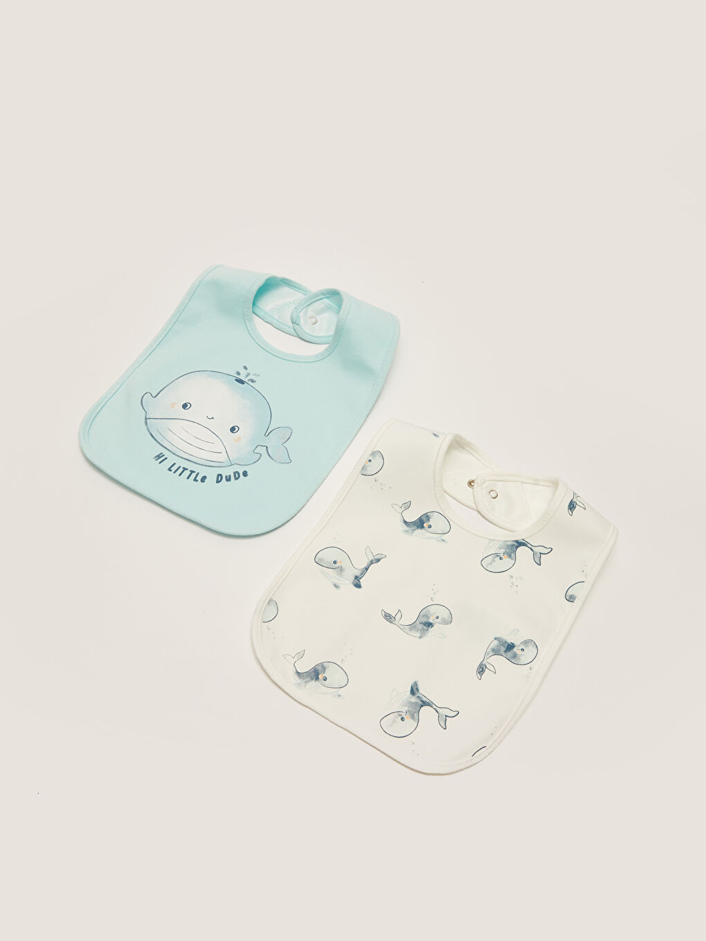Printed Baby Boys' Bib 2 Pack