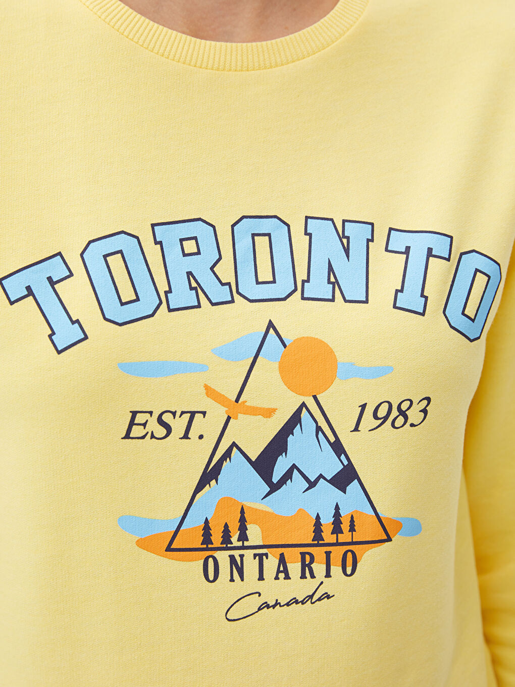 Женская толстовка с круглым вырезом и длинными рукавами с принтом-2