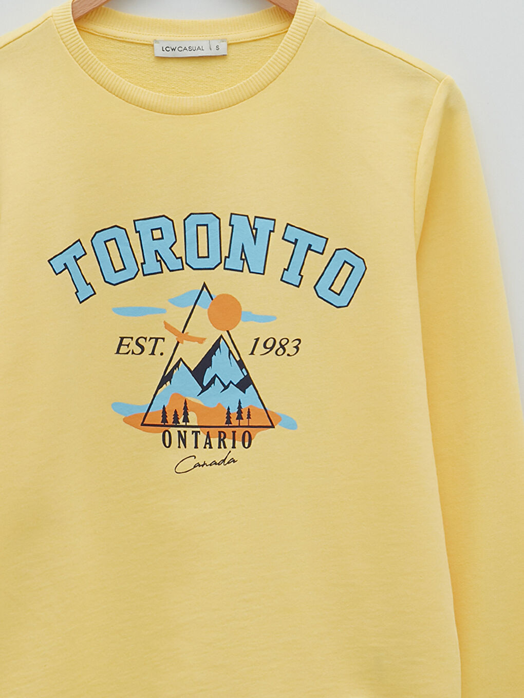 Женская толстовка с круглым вырезом и длинными рукавами с принтом-7