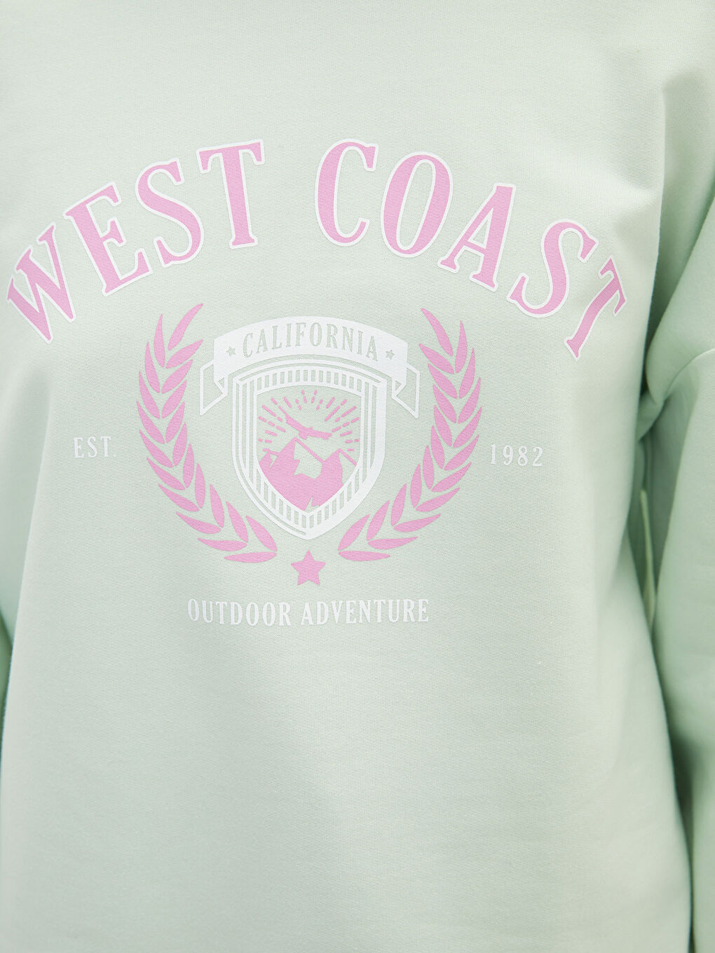 LCW Vision Pastel Yeşil Baskılı Uzun Kollu Kadın Hoodie - 4