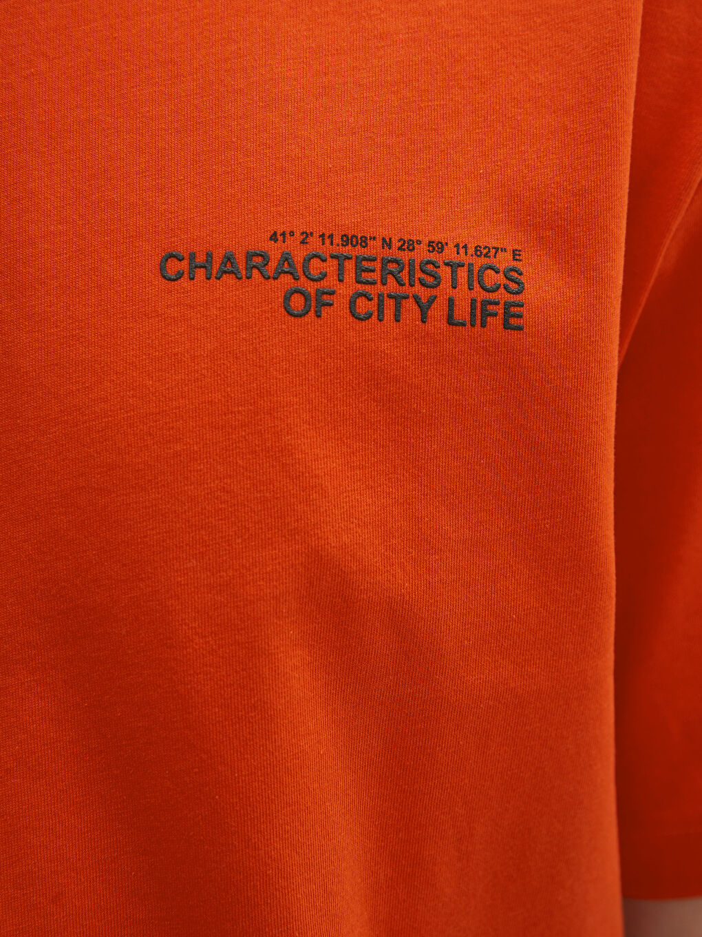 Crew Neck Short Sleeve Printed Combed Cotton Men's T-shirt-3