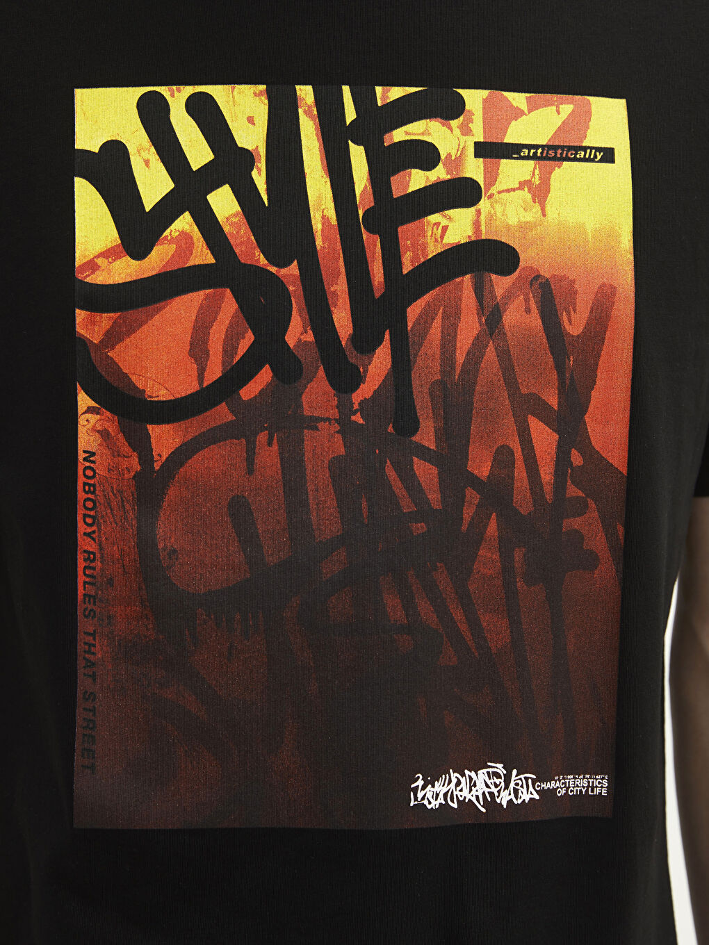 Crew Neck Short Sleeve Printed Combed Cotton Men's T-shirt-3