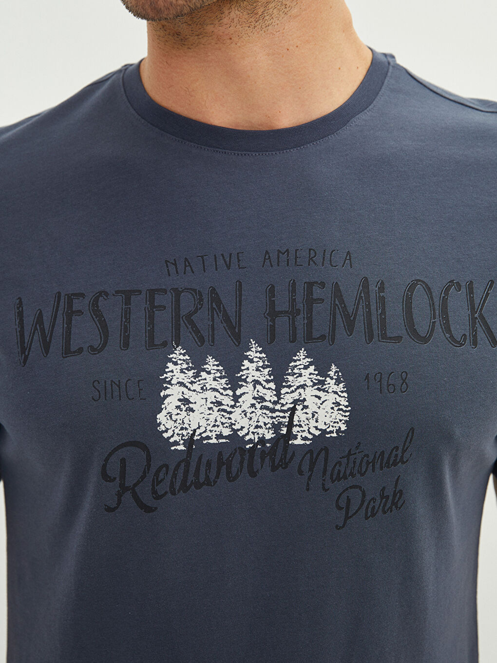 Antrasit Bisiklet Yaka Kısa Kollu Baskılı Penye Erkek Tişört-3