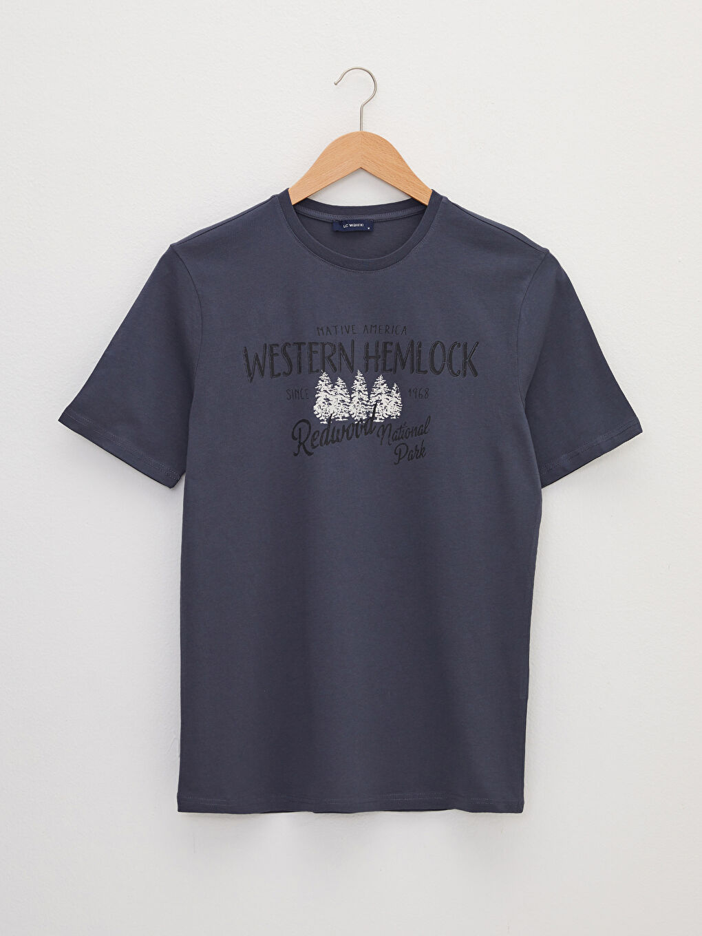 Antrasit Bisiklet Yaka Kısa Kollu Baskılı Penye Erkek Tişört-5