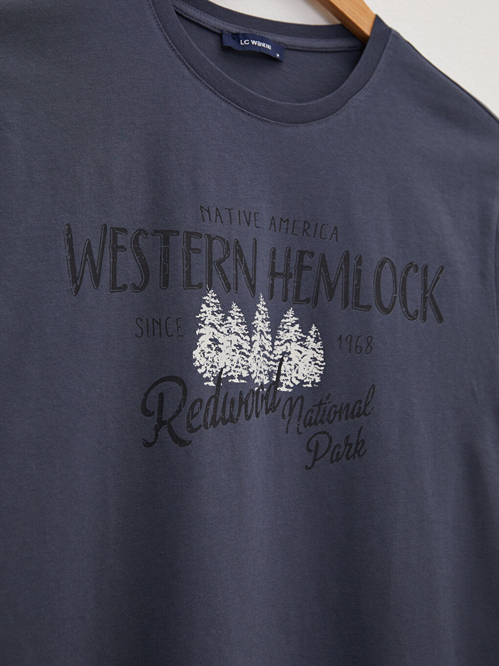 Antrasit Bisiklet Yaka Kısa Kollu Baskılı Penye Erkek Tişört-6