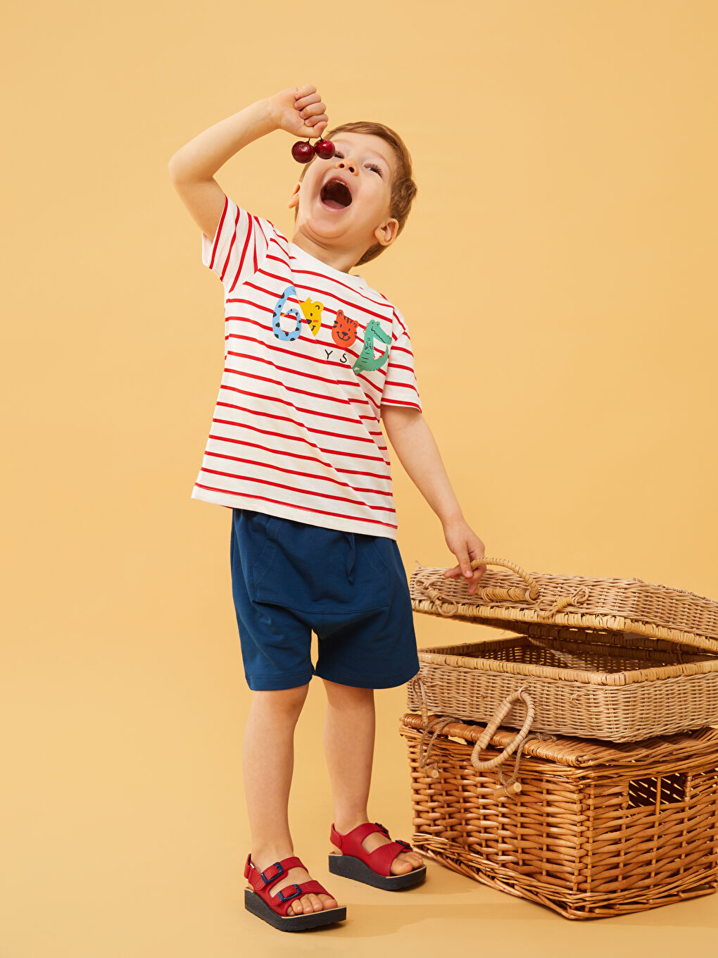 Crew Neck Short Sleeve Striped Baby Boys' T-Shirt and Shorts 2 Pack Set