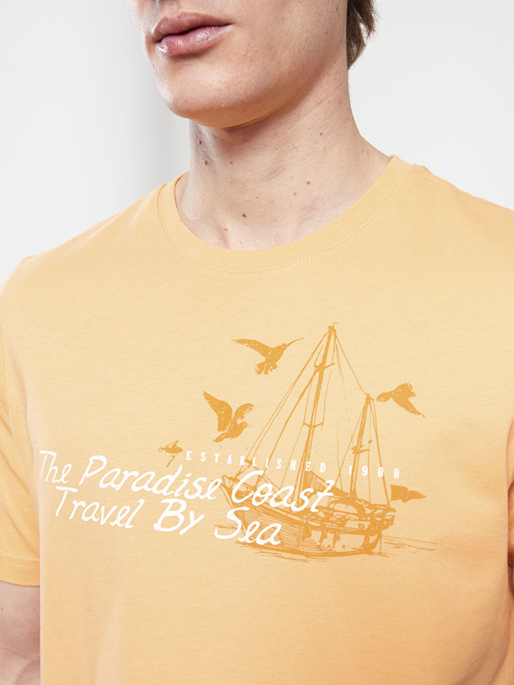 Crew Neck Printed Combed Cotton T-Shirt-3