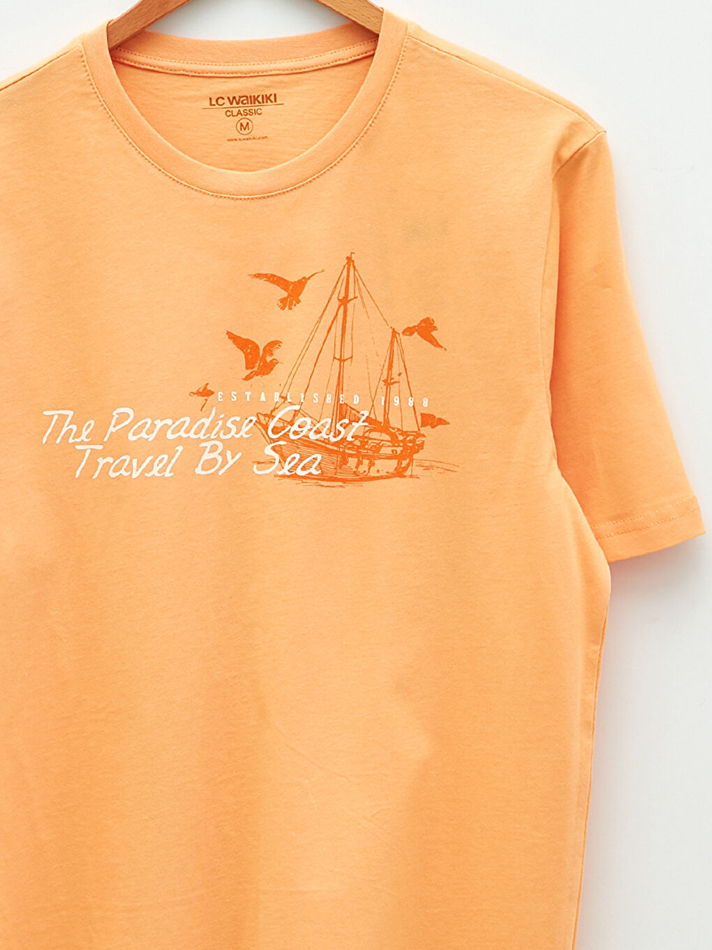 Crew Neck Printed Combed Cotton T-Shirt-7