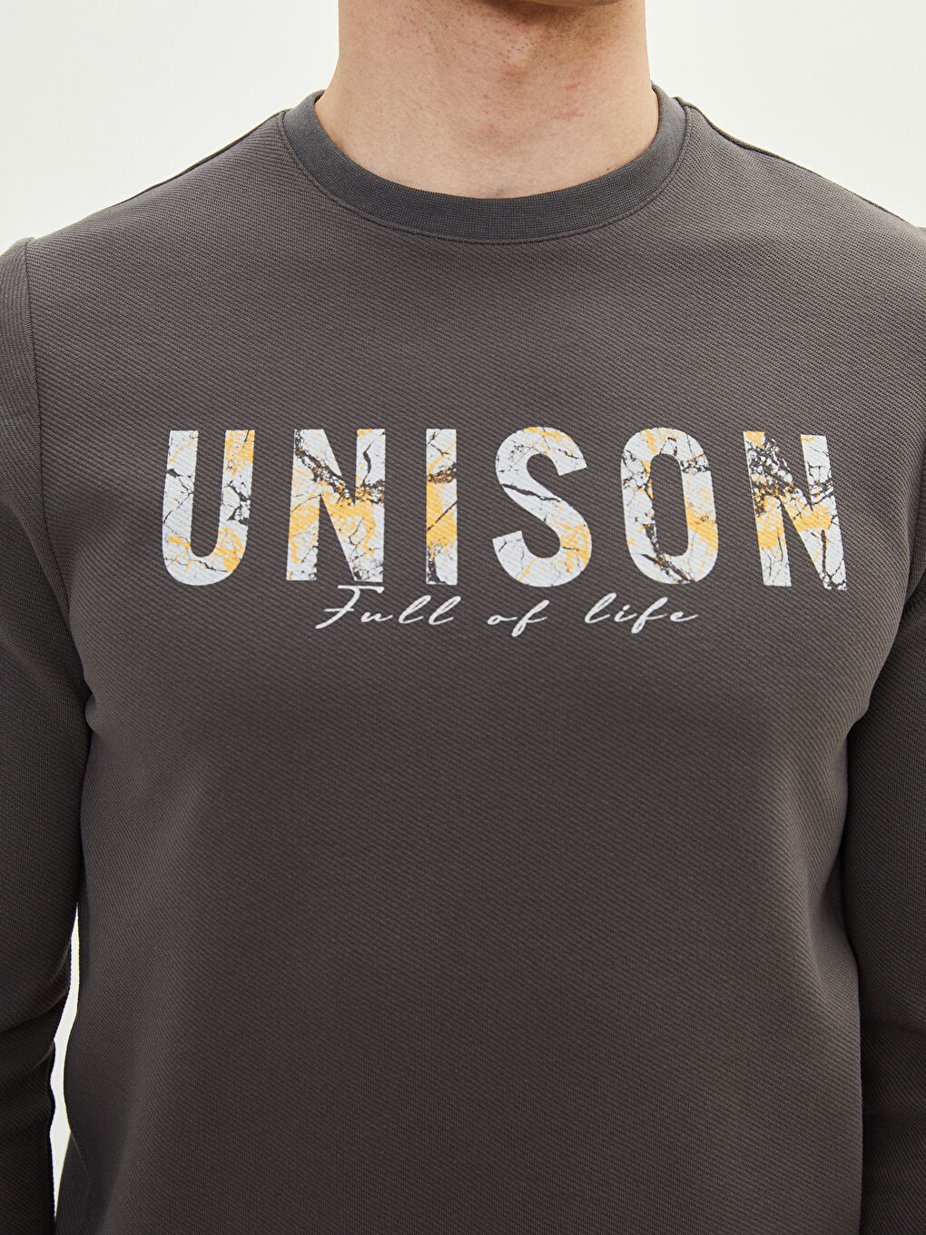 Crew Neck Long Sleeve Printed Men's Sweatshirt-3