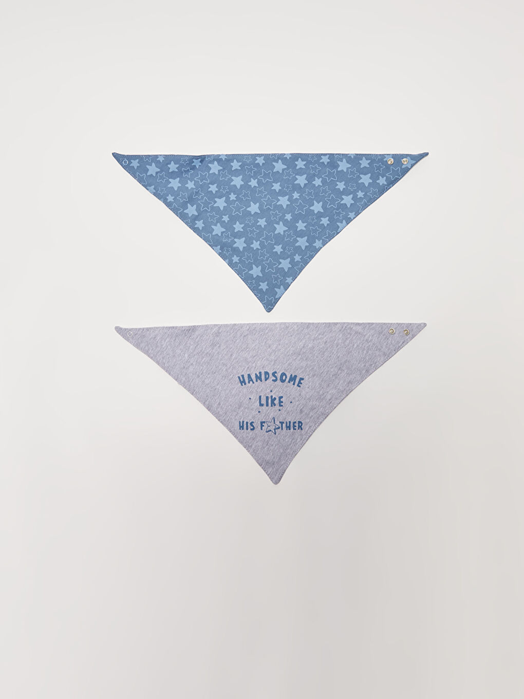 Printed Baby Boys' Bib 2 Pack