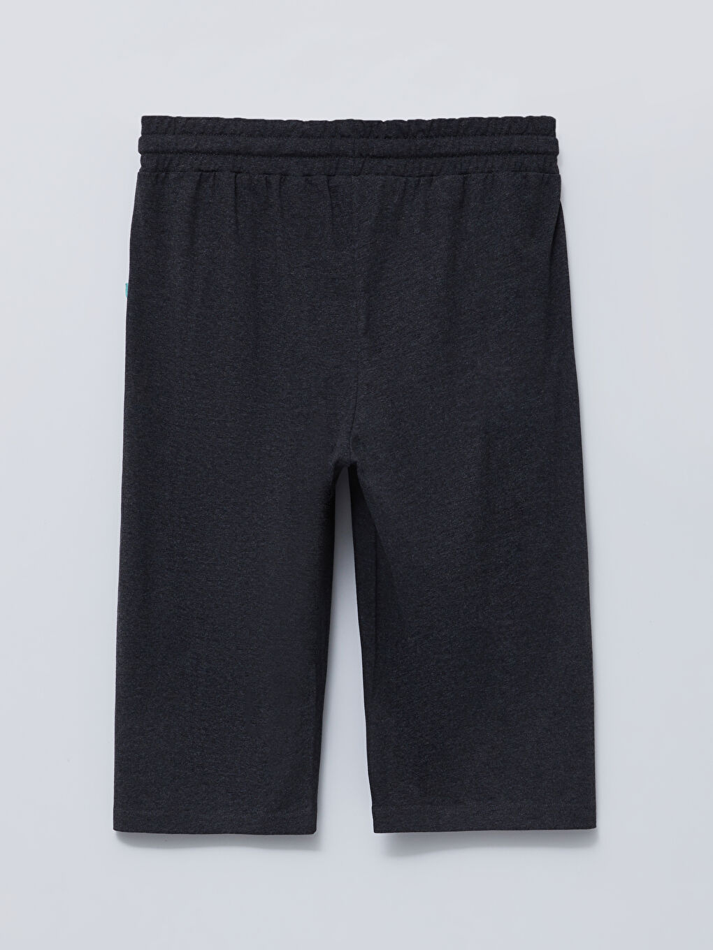 Antrasit Standart Kalıp Beli Lastikli Erkek Şort-6