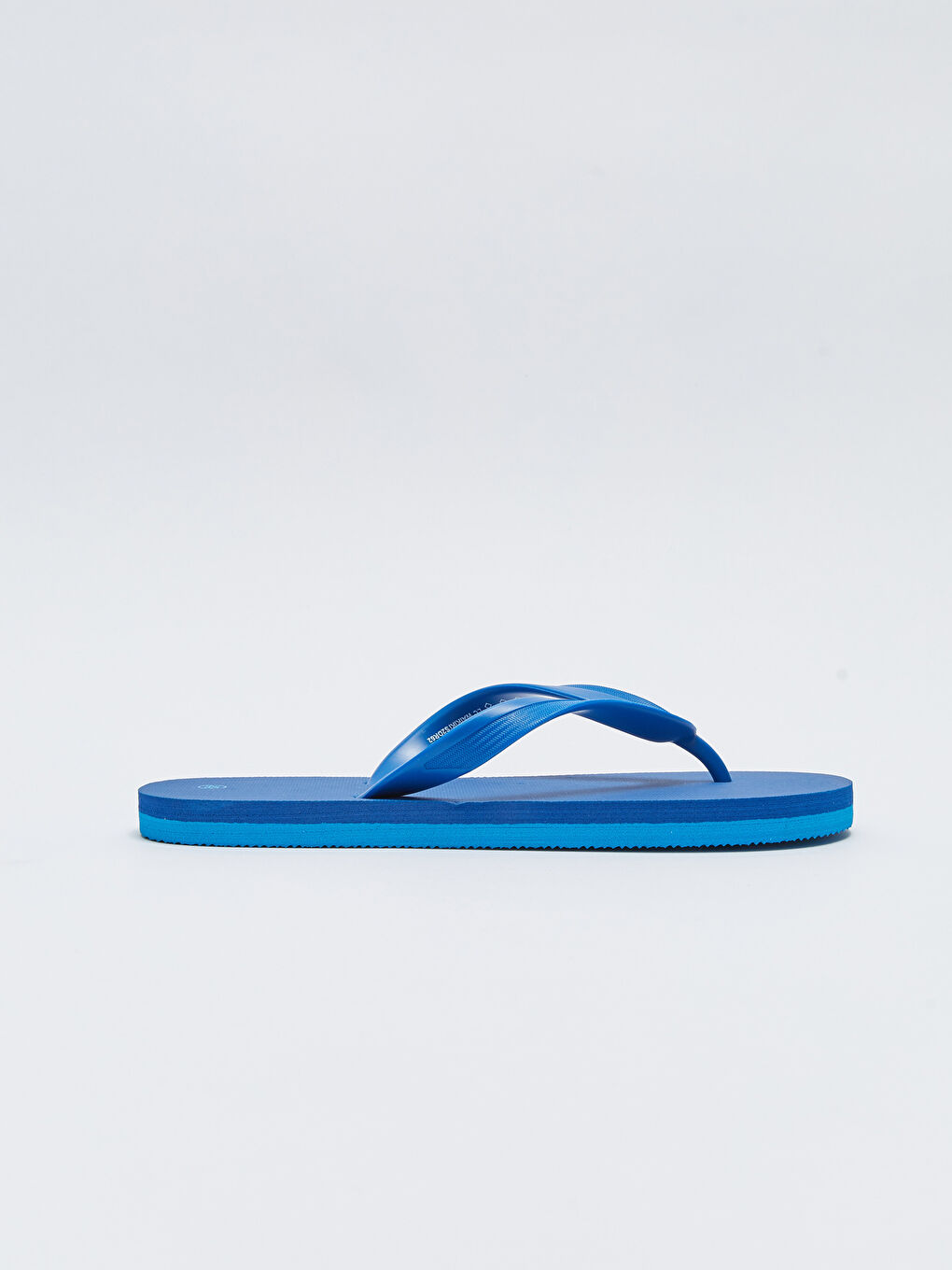 Mavi Düz Parmak Arası Erkek Plaj Terliği-1