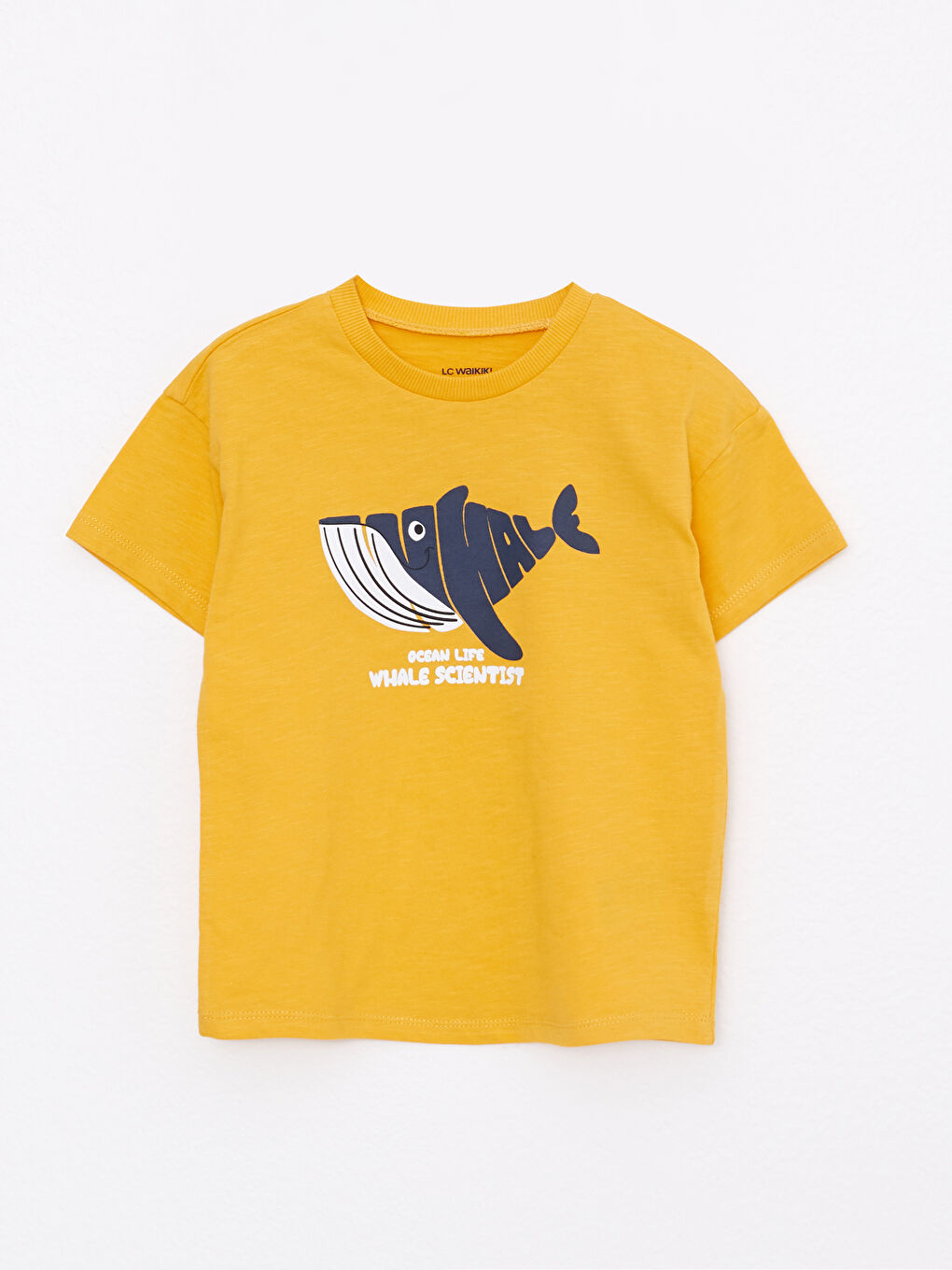 LCW baby Baby-Junge GELB T-Shirt -S2EH51Z1-G4Y
