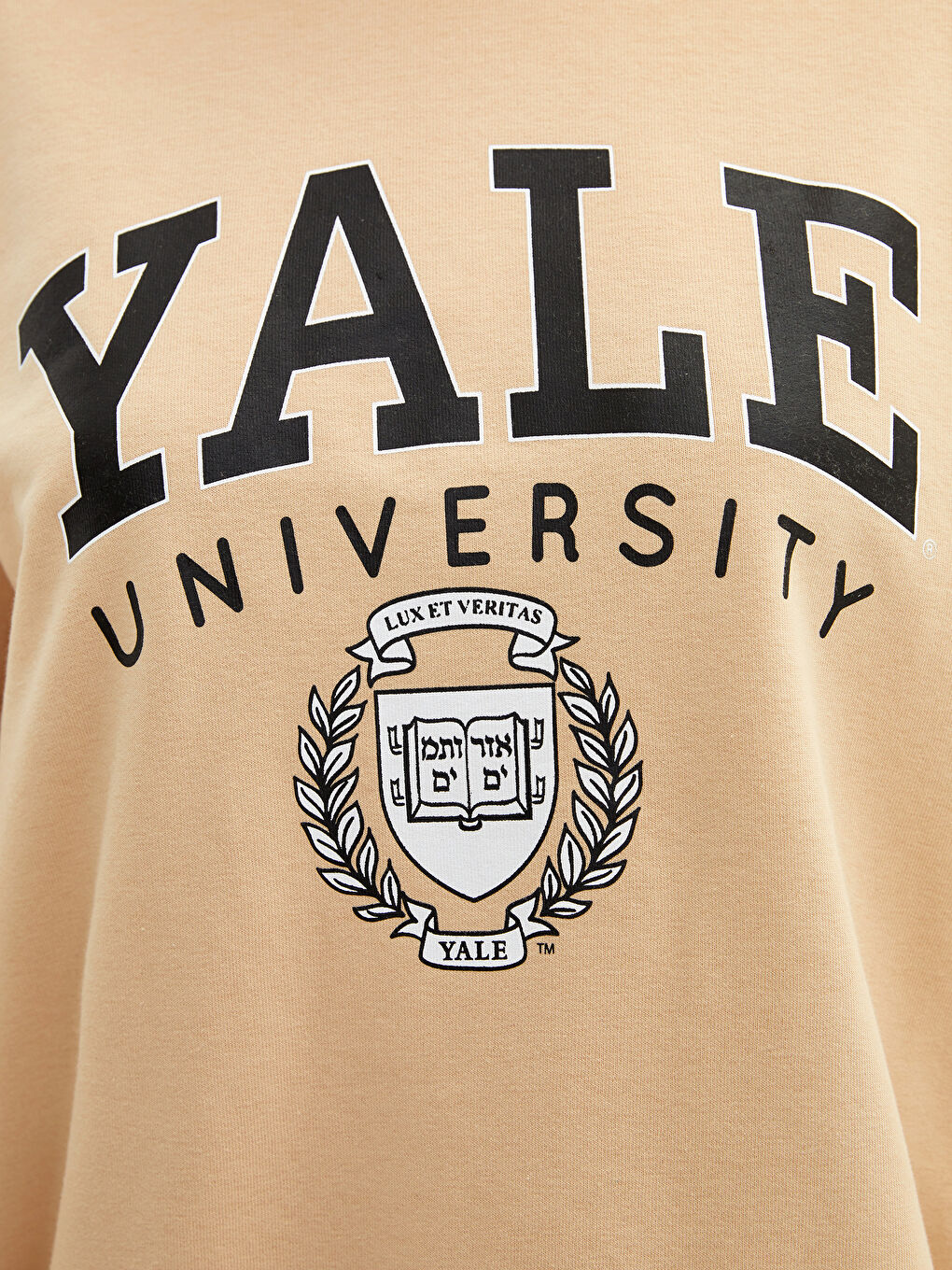 Bej Bisiklet Yaka Baskılı Uzun Kollu Kadın Sweatshirt-3