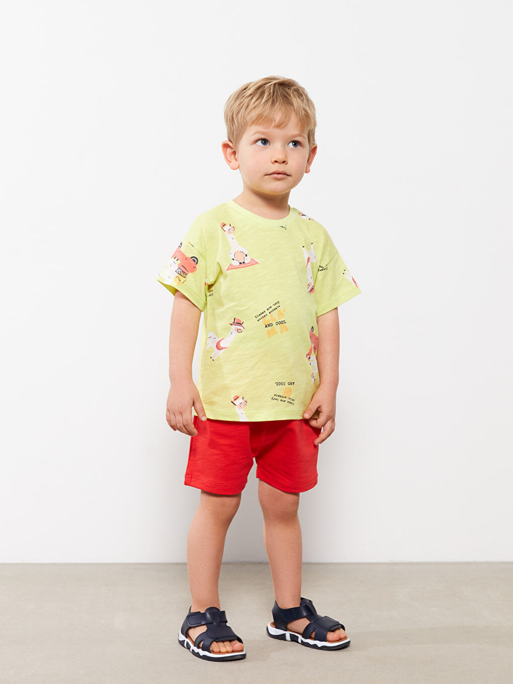 Elasticated Waist Basic Baby Boys' Shorts-2