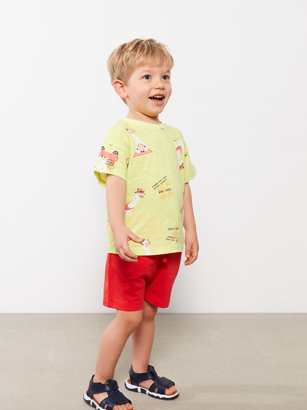 Elasticated Waist Basic Baby Boys' Shorts