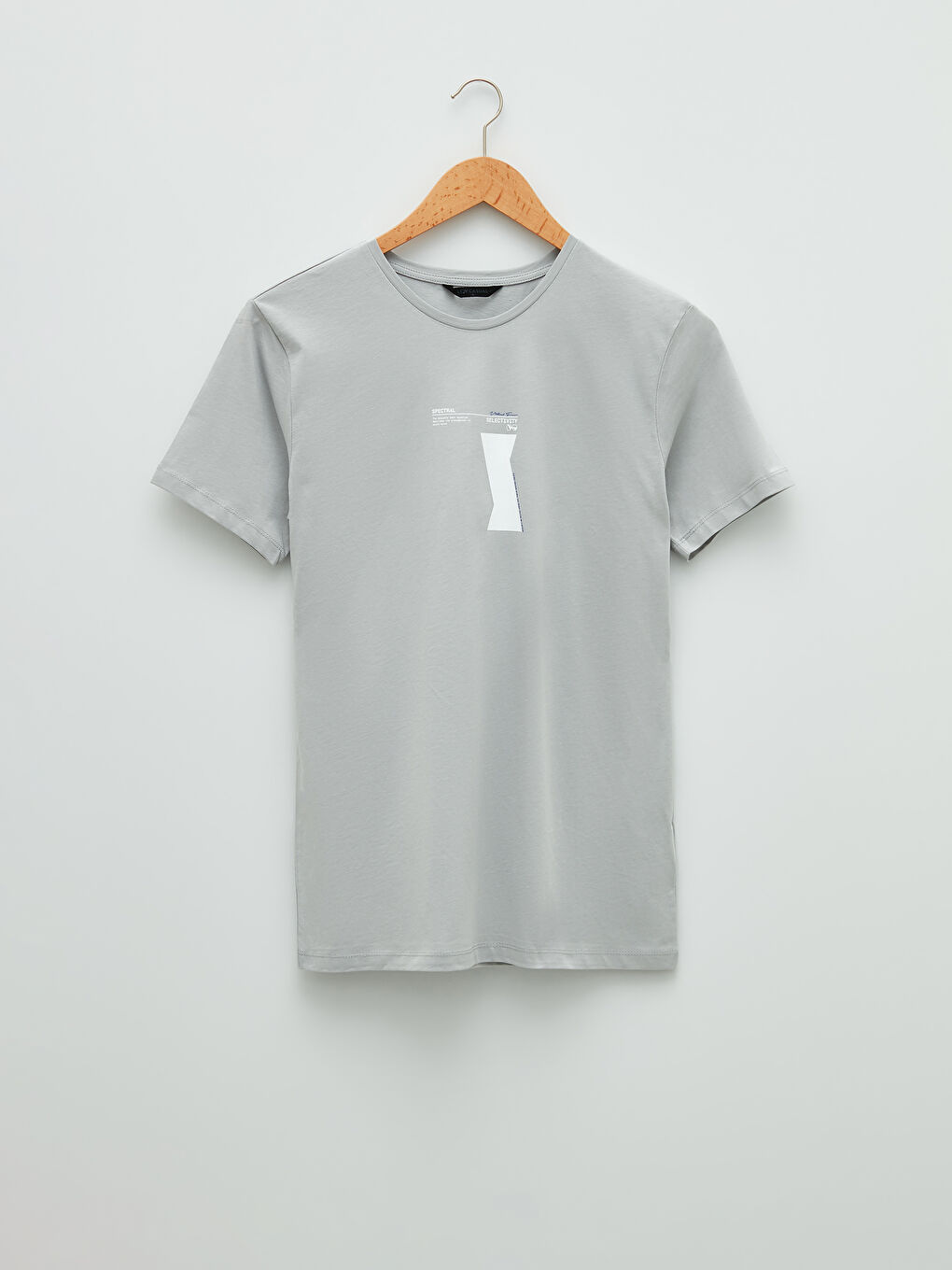 Gri Bisiklet Yaka Kısa Kollu Baskılı Penye Erkek Tişört-5
