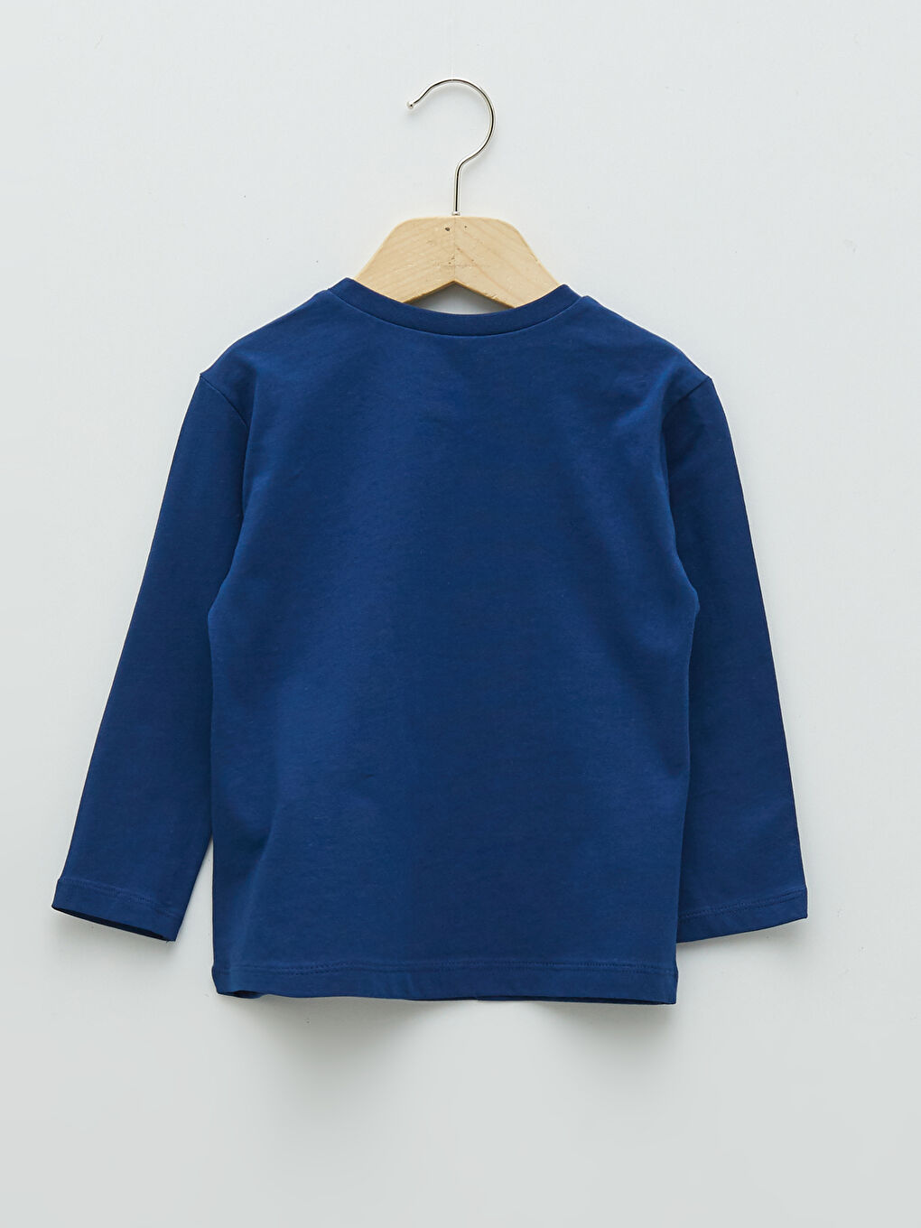 Crew Neck Long Sleeve Printed Baby Boys' T-Shirt-1