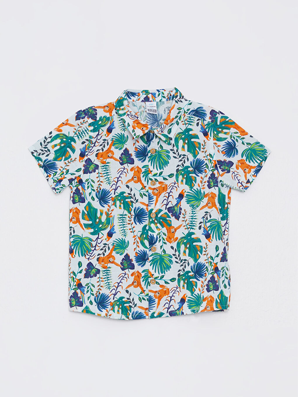 Ensemble Bébé Garçon Chemise à Manches Courtes Imprimée en Coton et Short Lot de 2-1