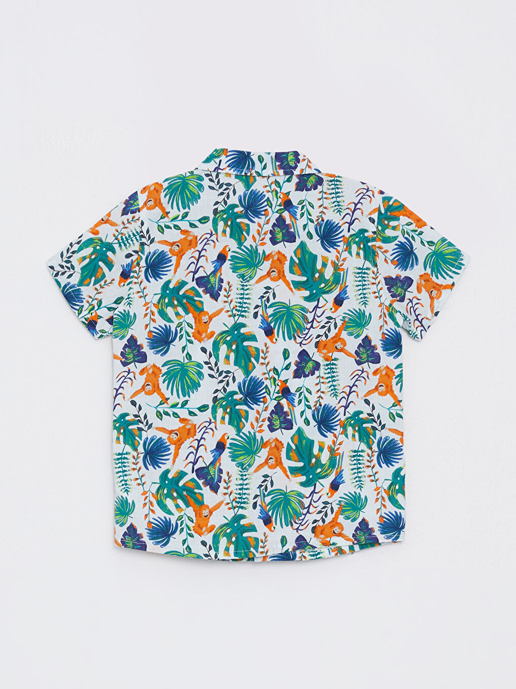 Ensemble Bébé Garçon Chemise à Manches Courtes Imprimée en Coton et Short Lot de 2-2